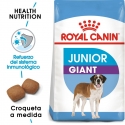Royal Canin Giant Junior 15 Kg
