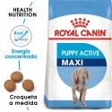 Royal Canin Maxi Puppy/Junior 15 Kg